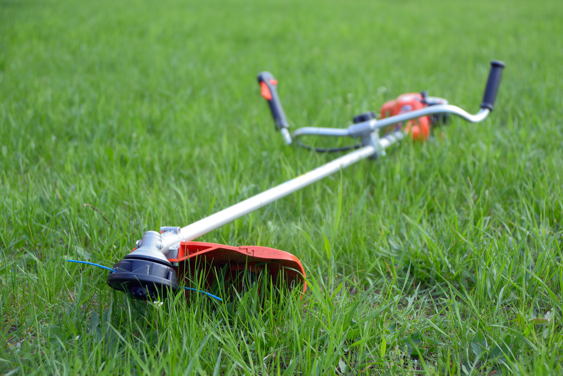 Weed trimmer